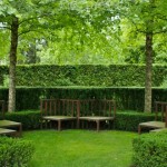 hedge trim 6