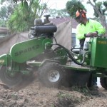 stump grinding 2